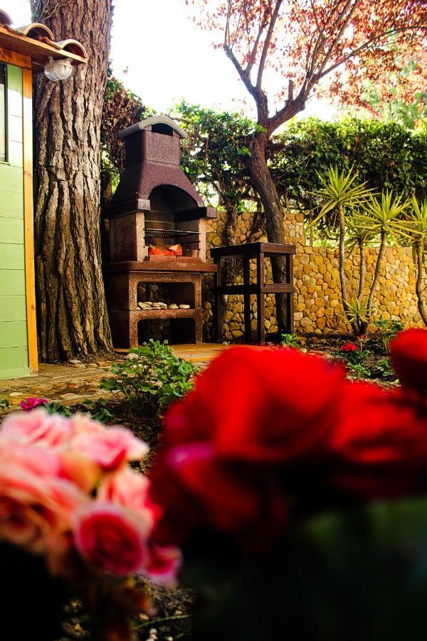 Bed and Breakfast La Casa Di Nonno Giulio Порто-Сант'Ельпідіо Екстер'єр фото
