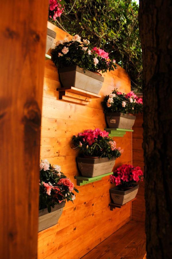 Bed and Breakfast La Casa Di Nonno Giulio Порто-Сант'Ельпідіо Екстер'єр фото